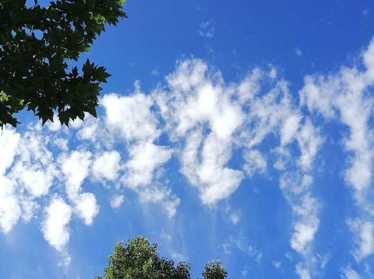 Floral Hotel Sea Say Villa Wenling