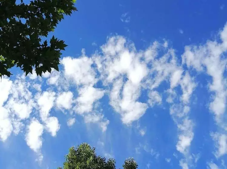 Floral Hotel Sea Say Villa Wenling