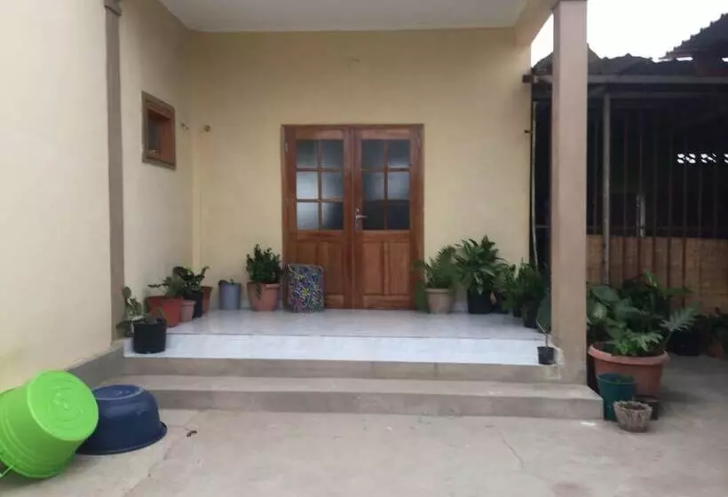 Hostel No Quintal   Hostel