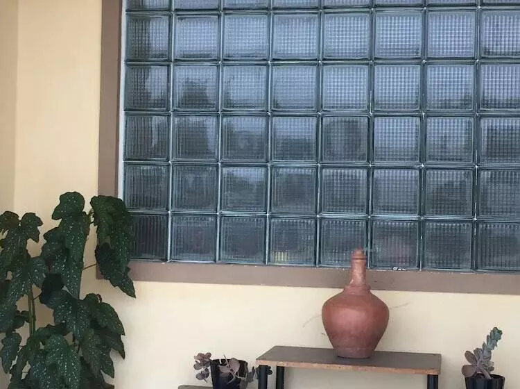 Hostel No Quintal   Hostel