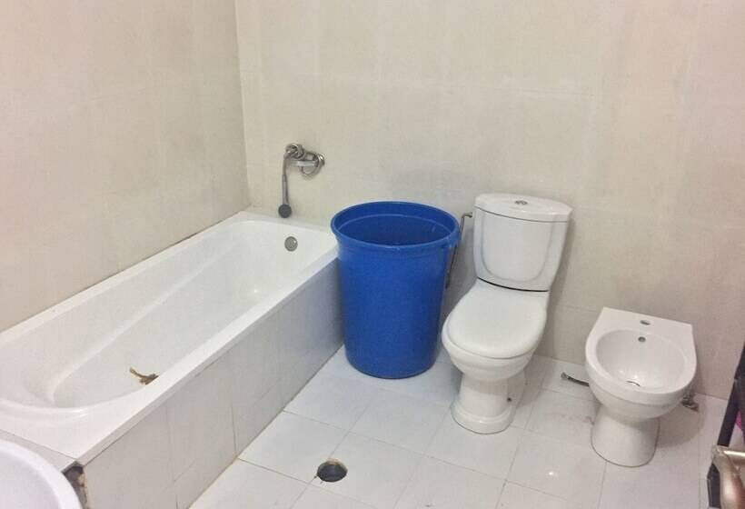 Hostel No Quintal Hostel