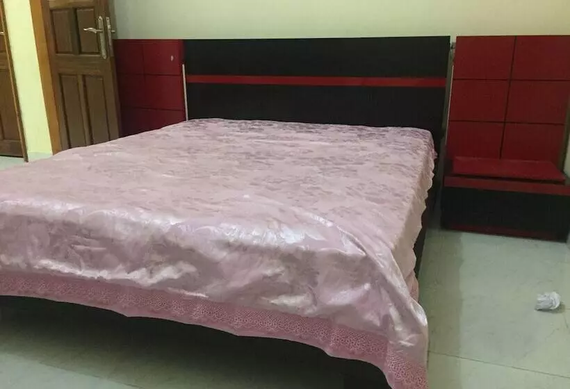 Hostel No Quintal   Hostel