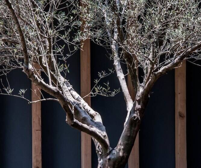 酒店 Cinco Rodavento