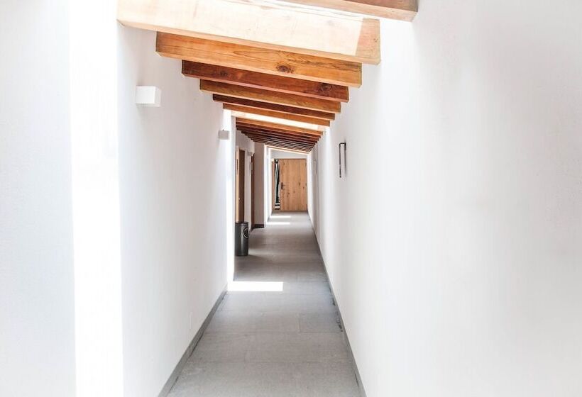 酒店 Cinco Rodavento