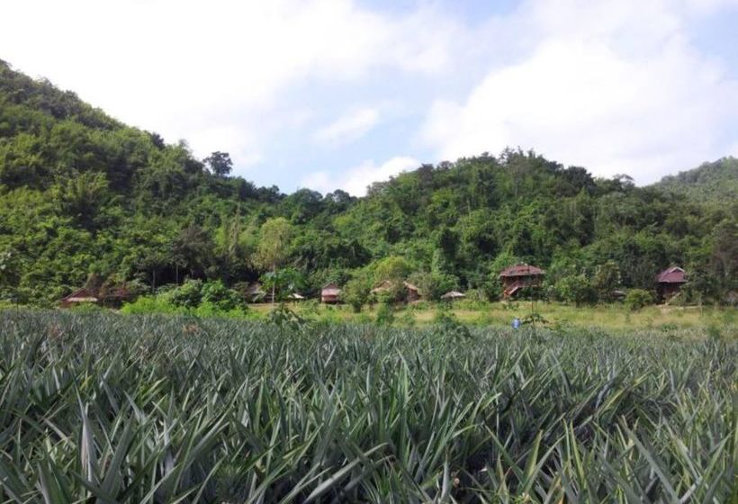 בית מלון כפרי Lom Rak Resort