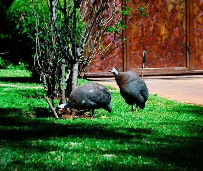 هتل Pakanaka Lodge