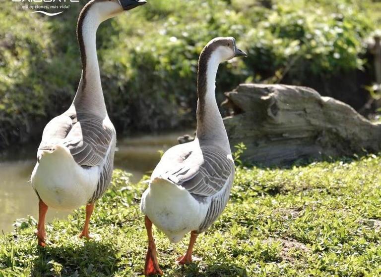 هتل Rancho Baiguate