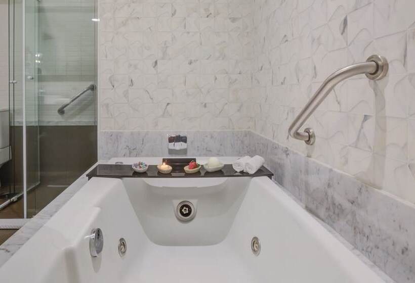 هتل Transamerica Collection Goiânia