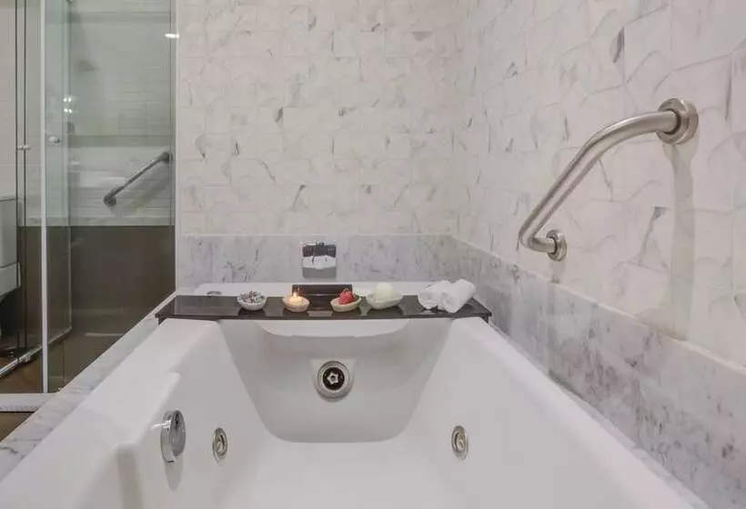 ホテル Transamerica Collection Goiânia