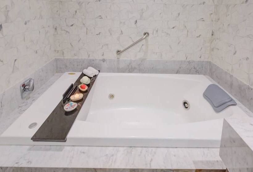 هتل Transamerica Collection Goiânia