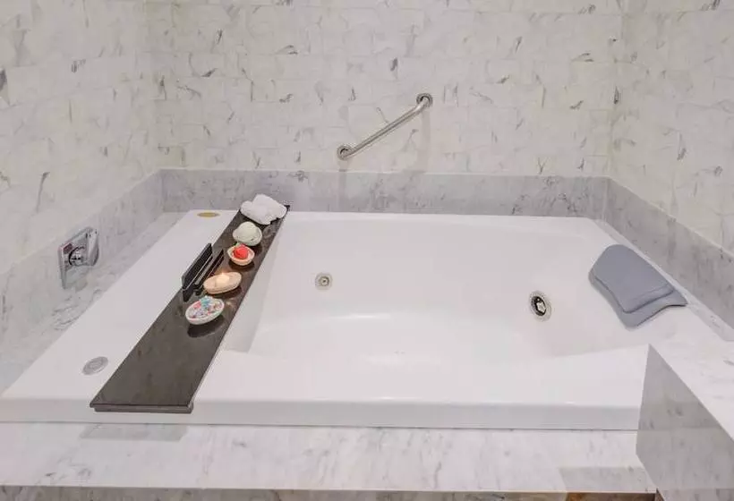 ホテル Transamerica Collection Goiânia