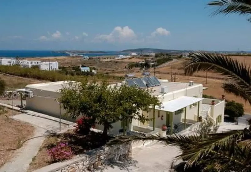 Asante Paros