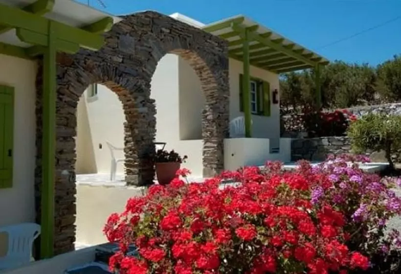 Asante Paros