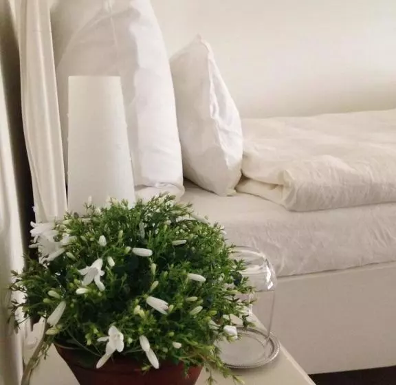 ベッドアンドブレックファースト Avliving City Basel