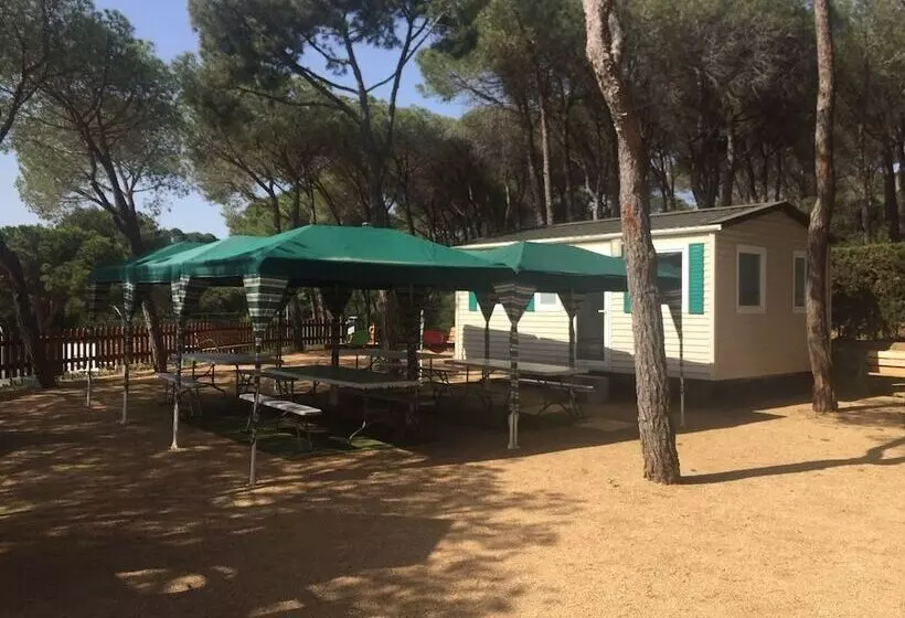 Camping Treumal