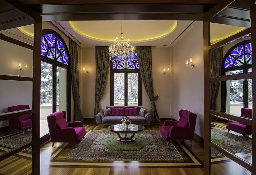هتل Blue Diamond Ataturk Palace