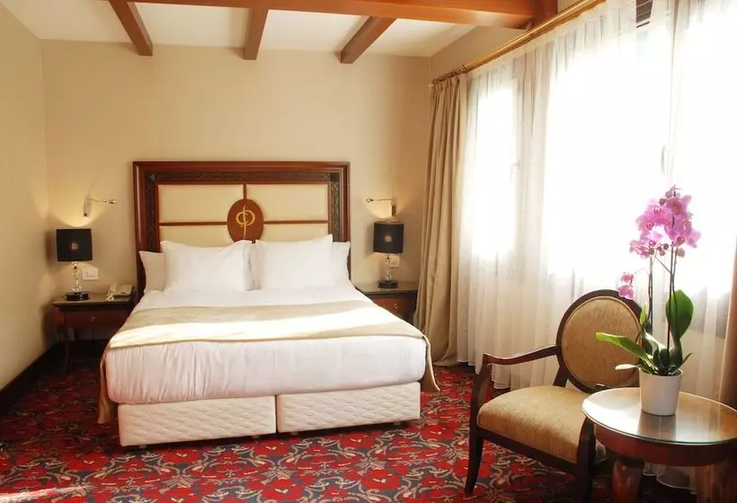 هتل Blue Diamond Ataturk Palace