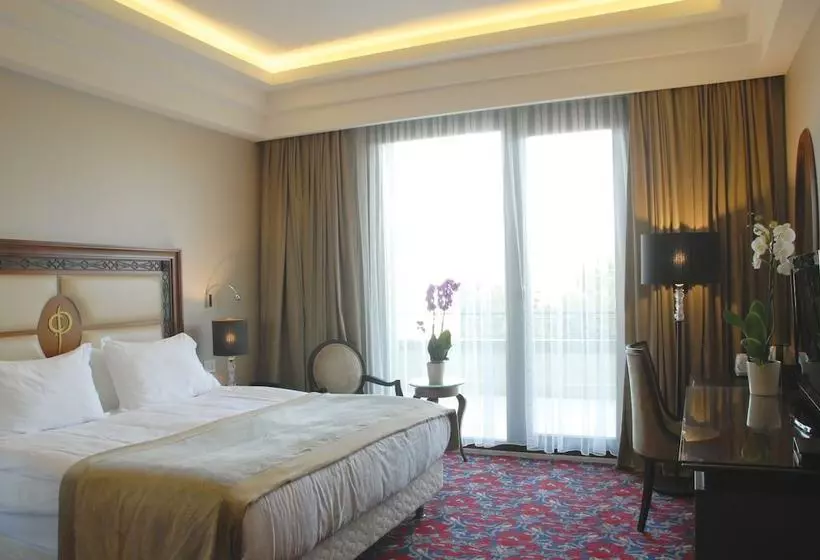 هتل Blue Diamond Ataturk Palace