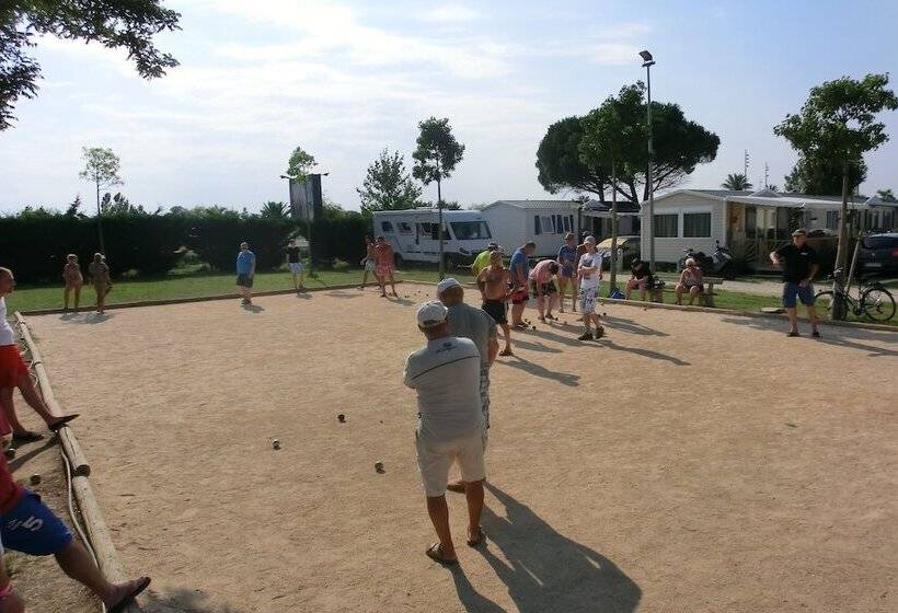 בית מלון כפרי Camping Le Soleil De La Méditerrannée