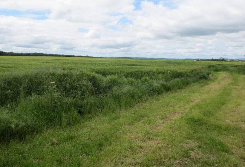 فندق Logis L Auberge Du Gros