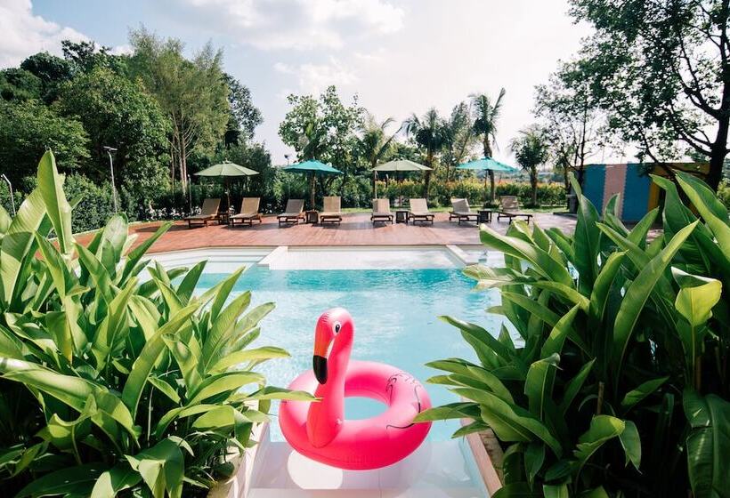 هتل The Pineapple