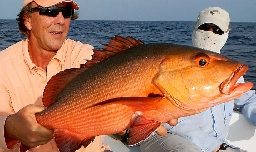 پانسیون White Diamond