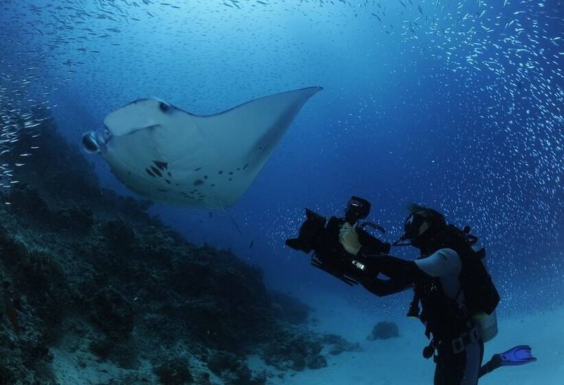 پانسیون White Diamond