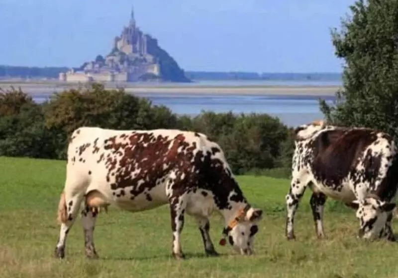 Aamiaismajoitus (B&B) Les Vieilles Digues