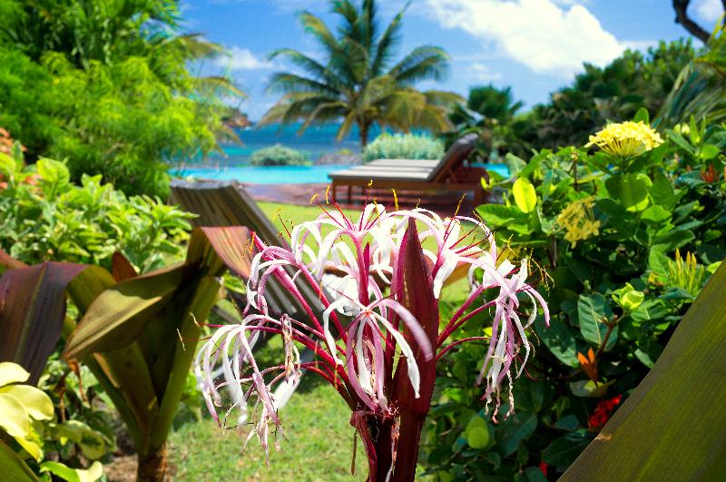 هتل 473 Grenada Boutique Resort