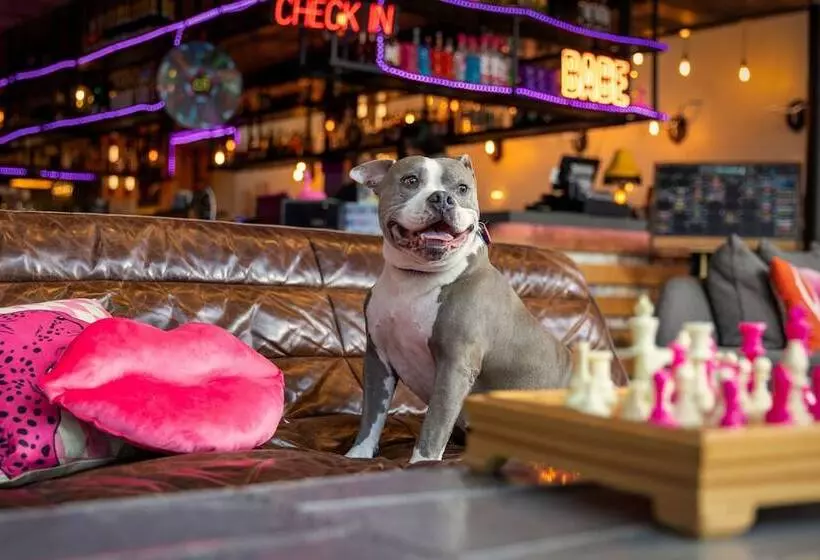 ホテル Moxy Washington, Dc Downtown
