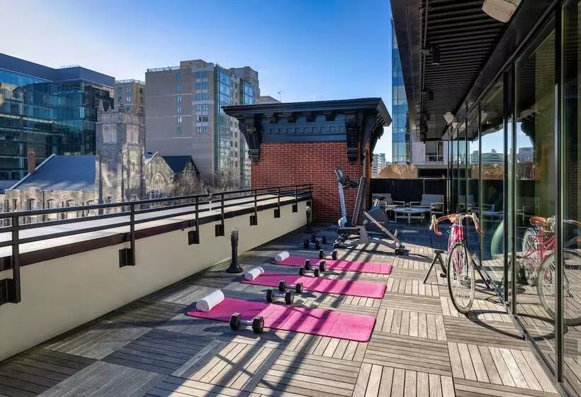 ホテル Moxy Washington, Dc Downtown