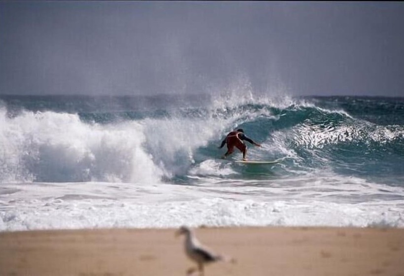 호텔 Nrma Tathra Beachfront Holiday Park