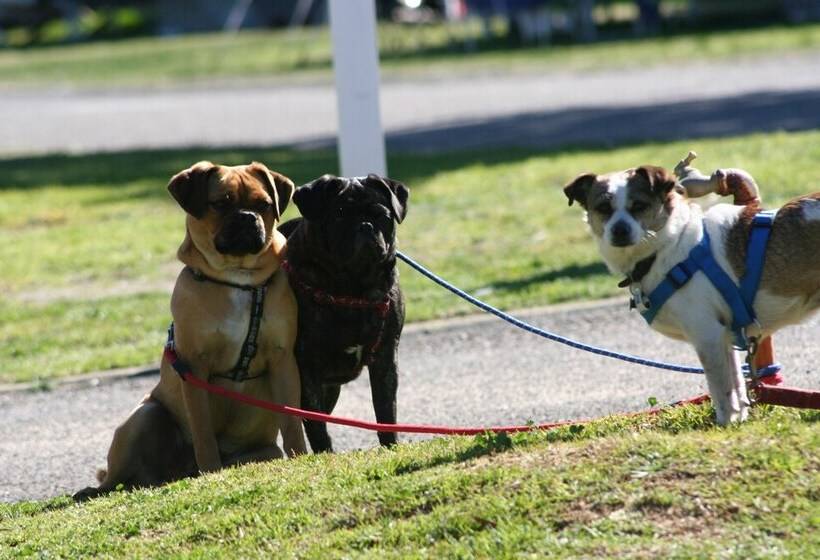호텔 Nrma Tathra Beachfront Holiday Park