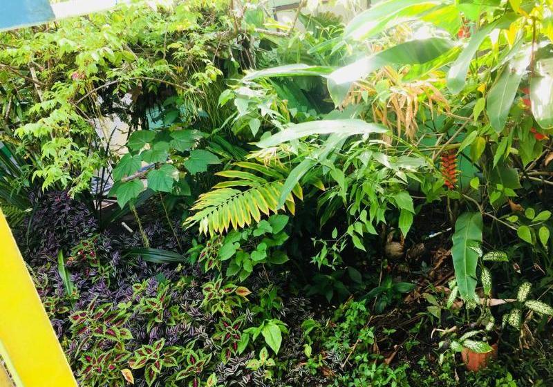 فندق Veronica's Place