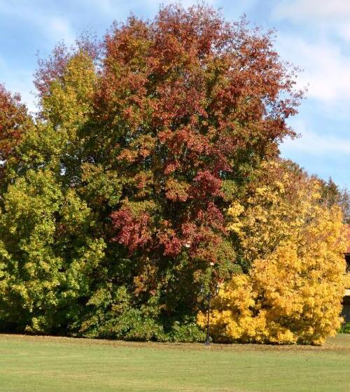 San Ceferino Hotel & Spa