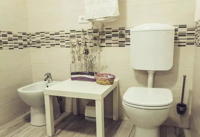 B&b Airport Venice Diego