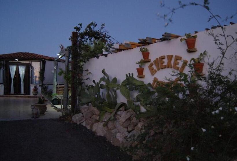 B&b Eyexei Domus