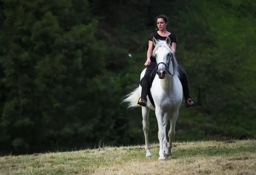 Hotelli Rural Las Montañas De Pumar