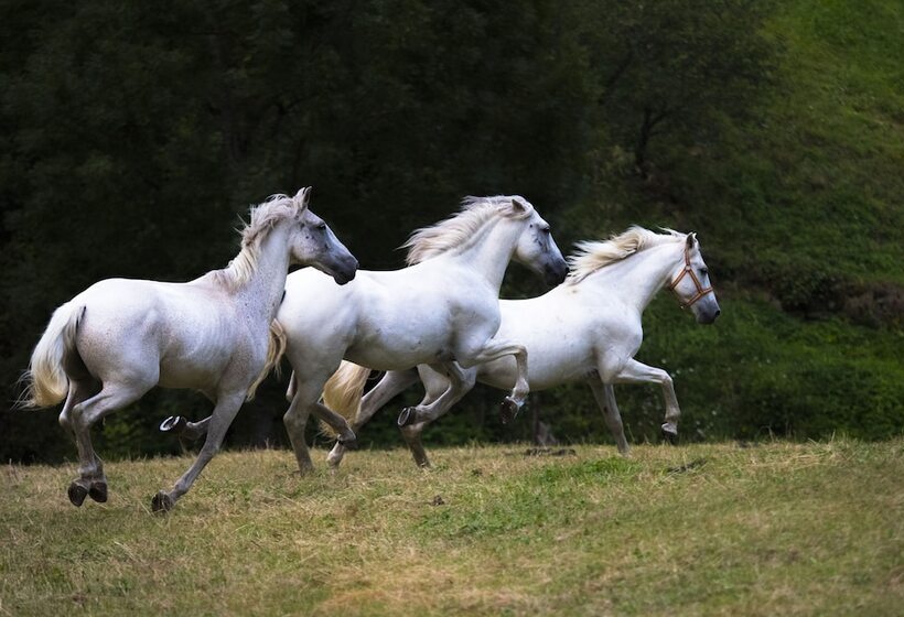 ホテル Rural Las Montañas De Pumar