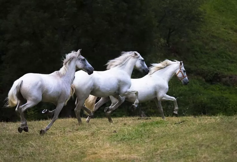 Hotelli Rural Las Montañas De Pumar