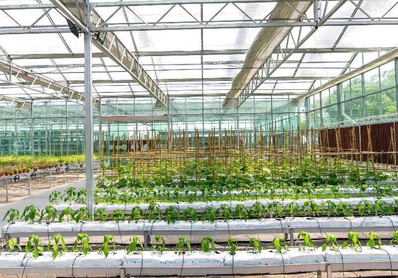 Novotel Suzhou Tai Lake Santeh