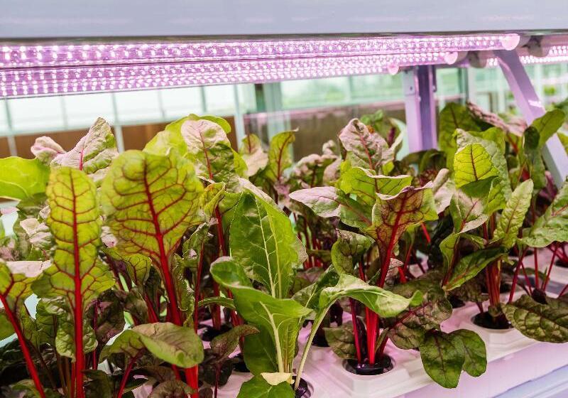 Novotel Suzhou Tai Lake Santeh