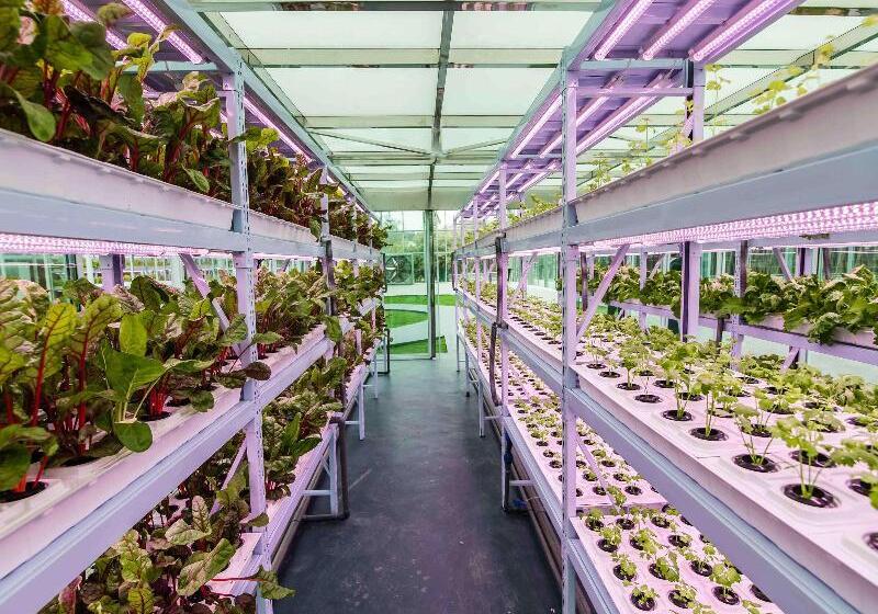 Novotel Suzhou Tai Lake Santeh