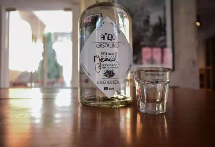 هتل Casa Santo Tomas