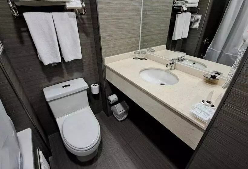 ホテル Diego De Almagro Calama Express