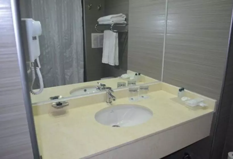 ホテル Diego De Almagro Calama Express