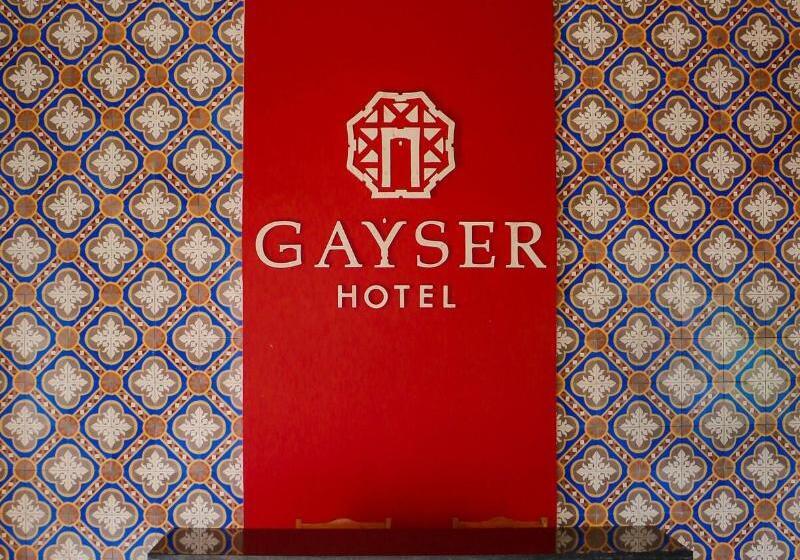 בית מלון כפרי Gayser