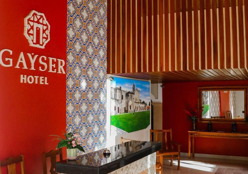בית מלון כפרי Gayser