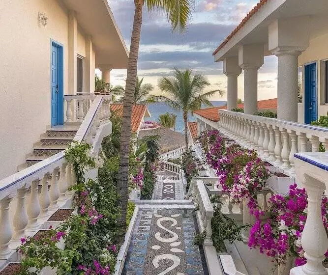 ホテル Mar Del Cabo By Velas Resorts