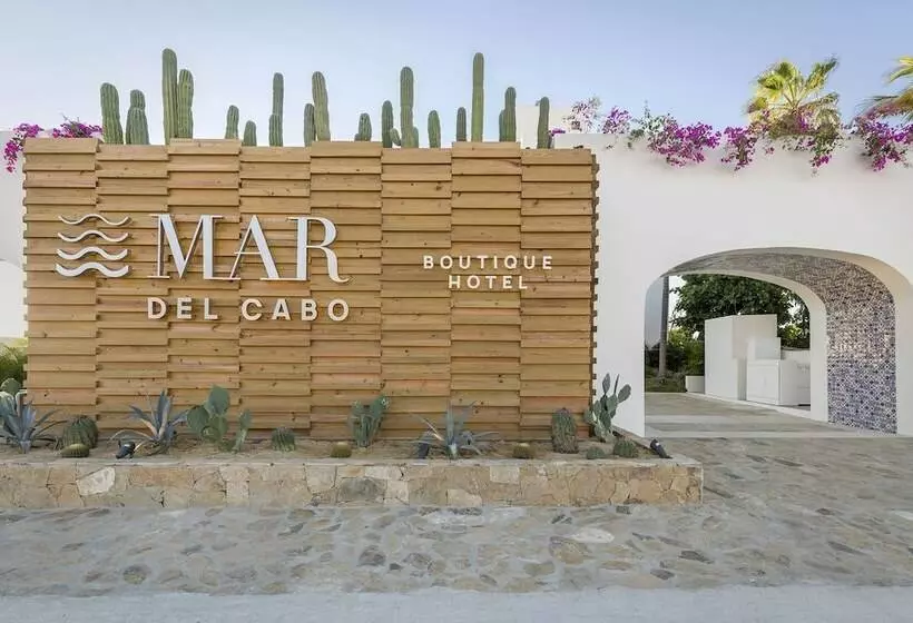 ホテル Mar Del Cabo By Velas Resorts